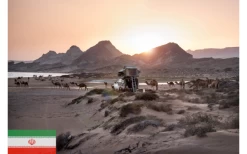 Gordigear Dachzelt Plus Für 4 Personen Mit Staufläche 180 X 320 Cm Grün -Bester Zelt Geschäft 585635 3986339