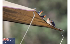 Gordigear Dachzelt 165 Plus Für 3 Personen Mit Vorzelt 165 X 320 Cm Grün -Bester Zelt Geschäft 585663 3986115